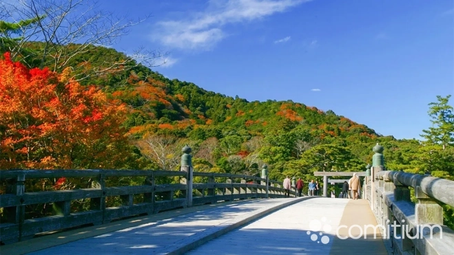 couleurs automne couleurs automne